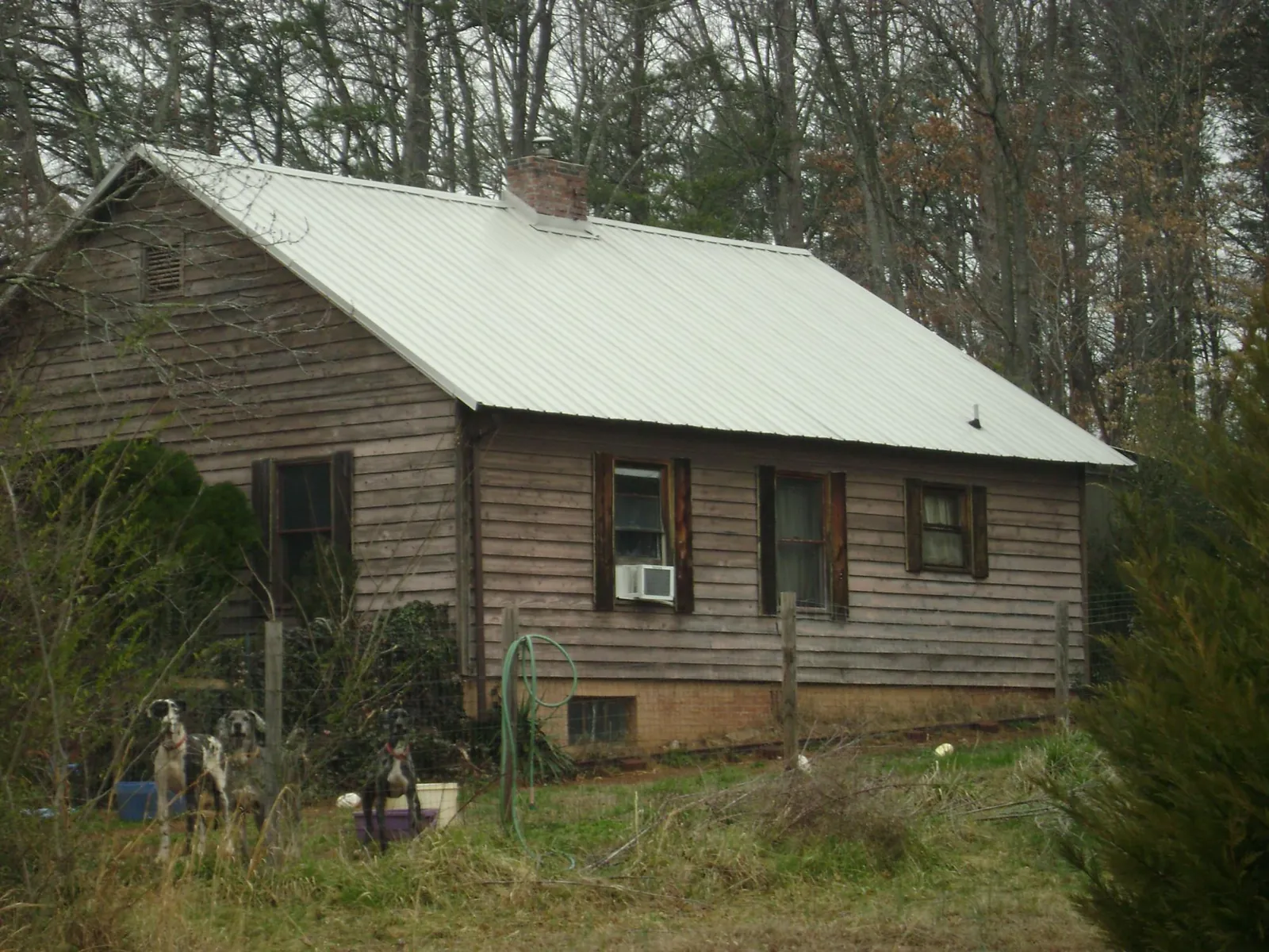 White metal roof on an old wood sided farmhouse, from a Asphalt Shingle Roof Repair job in Zionsville